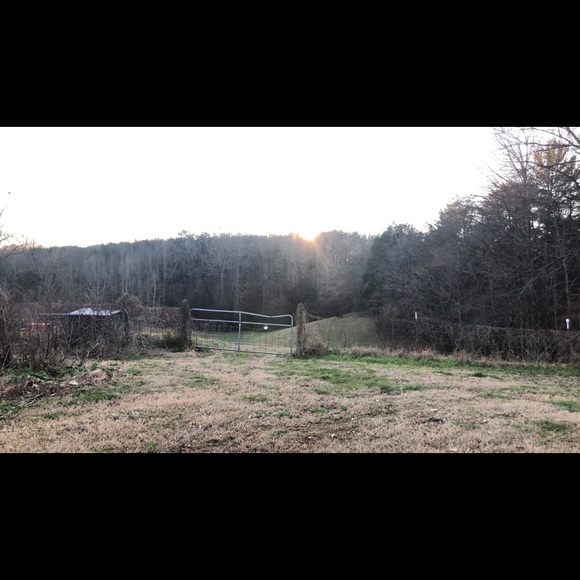 Meet your Posher, Savannah - Picture 1 of 1